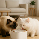 Fonte Purificadora Capri para Pets