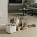 Fonte Purificadora Capri para Pets