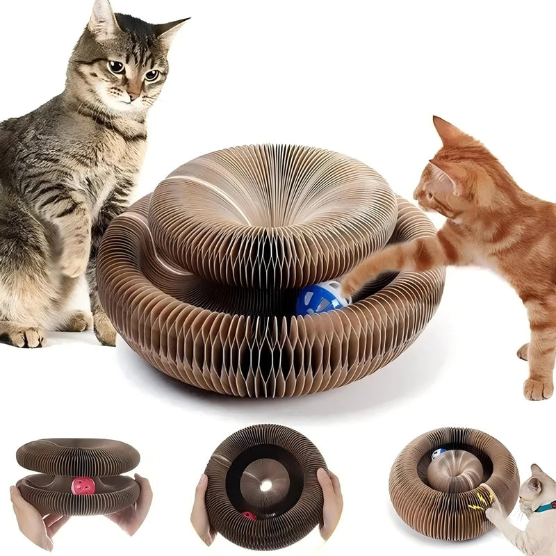 Brinquedo Arranhador Sanfona Mágica para Gatos